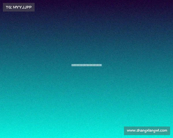 法甲球迷激情应援：为爱而战的力量与情感传递